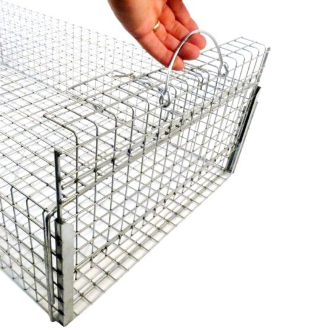 Adda Raptor Traps Tomahawk Repeating Reptile Traps ²⁶ - BIOWEB USA