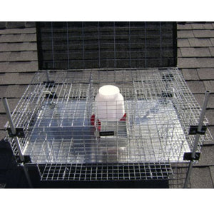 Adjustable Leg Rigid Pigeon Trap with Six Trap Doors, Shade Screen, Water & Food Tray
