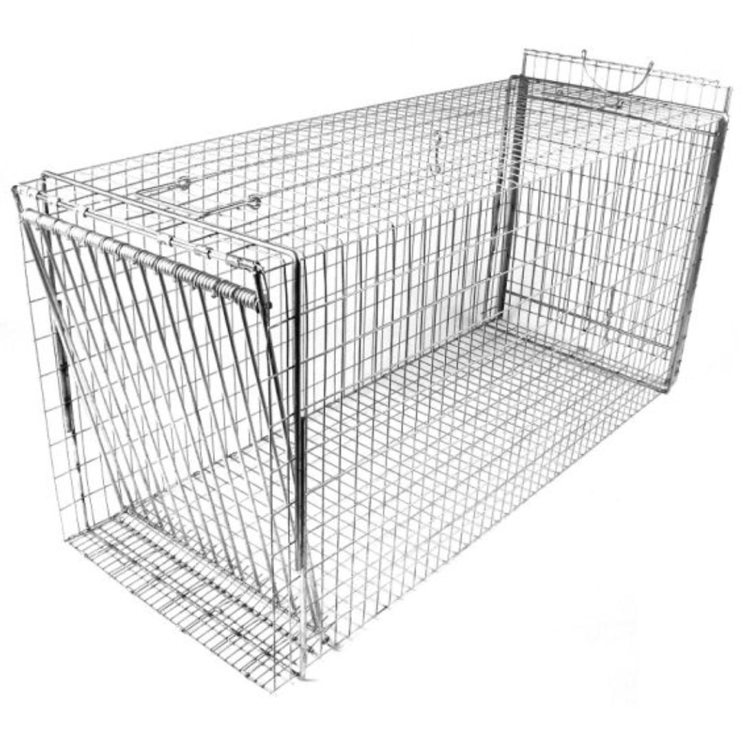 Tomahawk Chicken, Rooster Traps