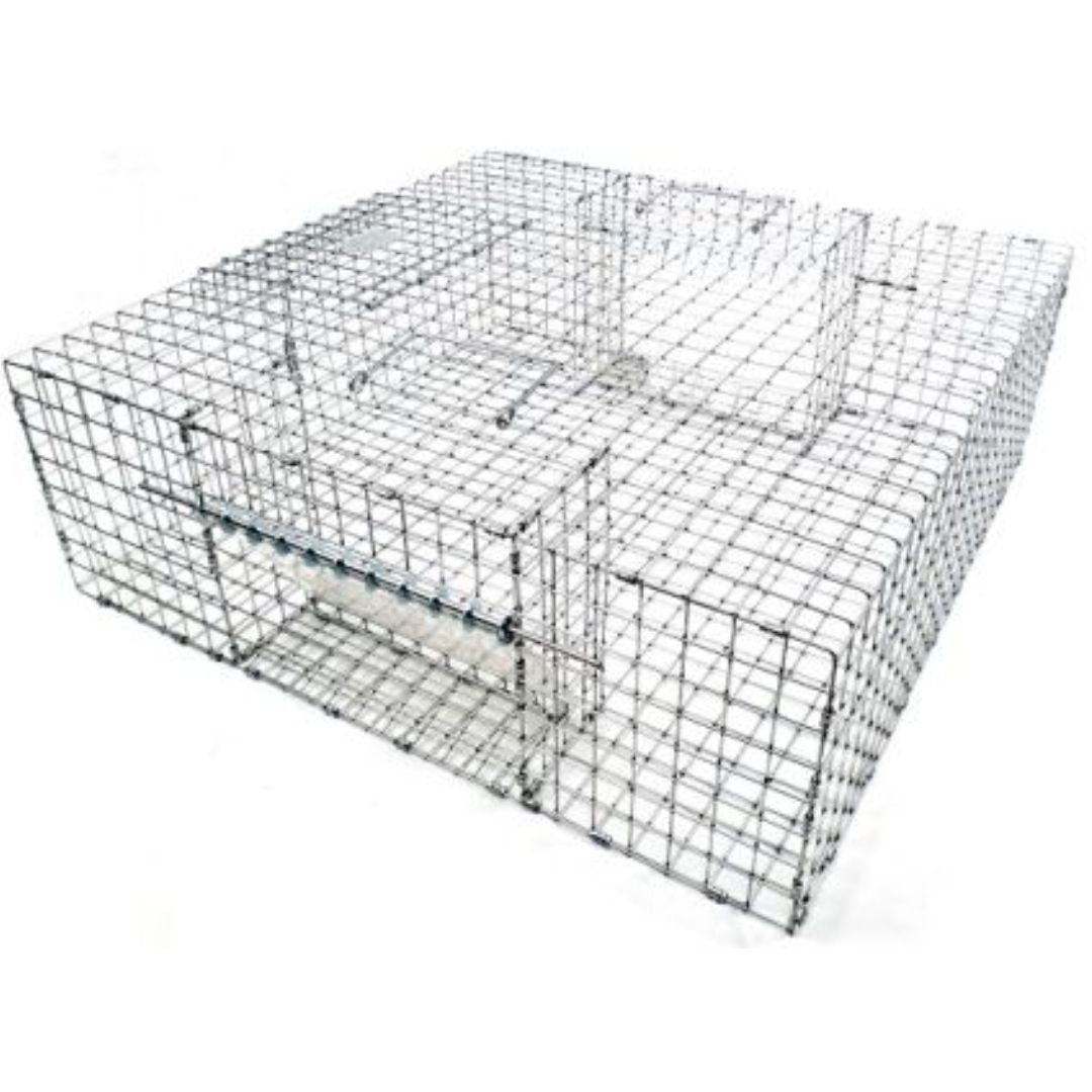 Tomahawk Repeating Bullfrog Trap