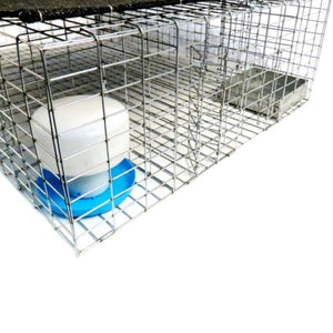 Shaded 36x24x9 Pigeon Trap with Six Trap Doors with Food Tray and Water Bowl