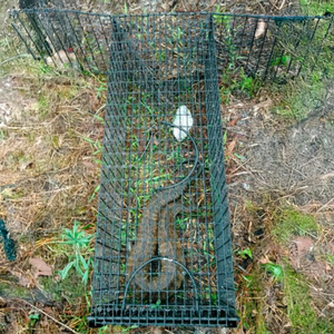 Tomahawk Snake Traps with Extension Wings