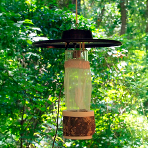 Incandescent Light Mosquito Trap