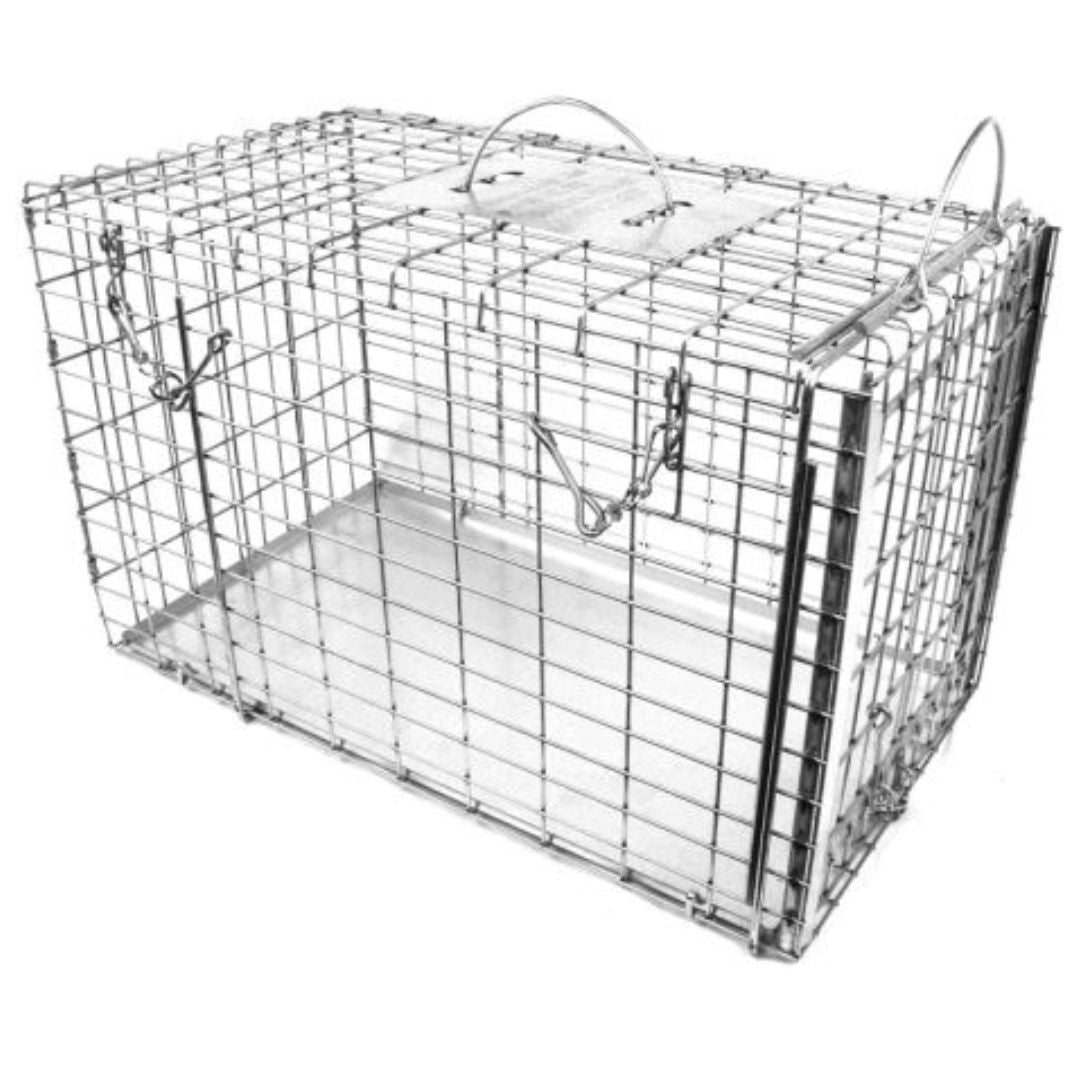 Transfer Transfer Cages With Sliding and Top Doors