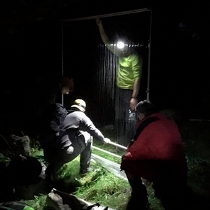 Trapr Mini Harp Trap