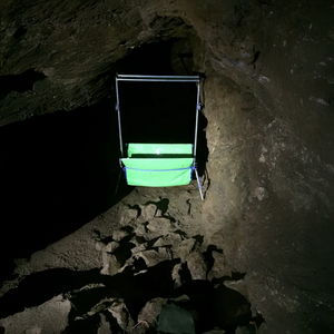 Trapr Mini Harp Trap