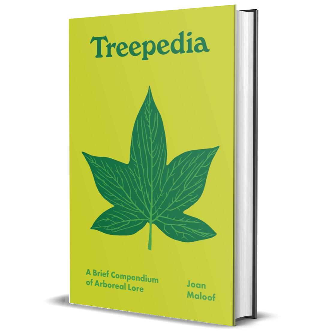 Treepedia: A Brief Compendium of Arboreal Lore