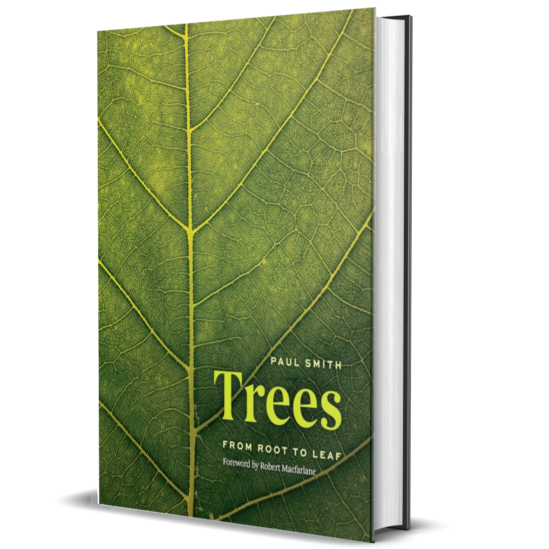Trees: From Root to Leaf