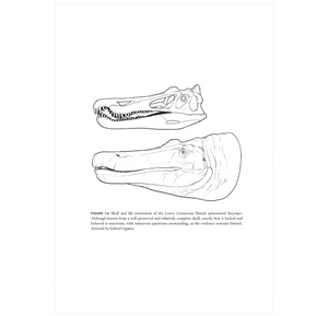 Uncovering Dinosaur Behavior: What They Did and How We Know