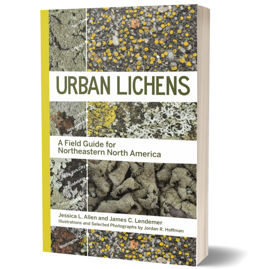 Urban Lichens: A Field Guide for Northeastern North America