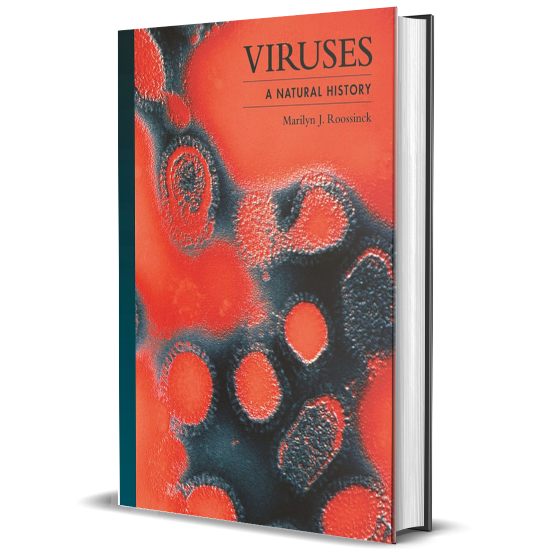 Virus: una historia natural
