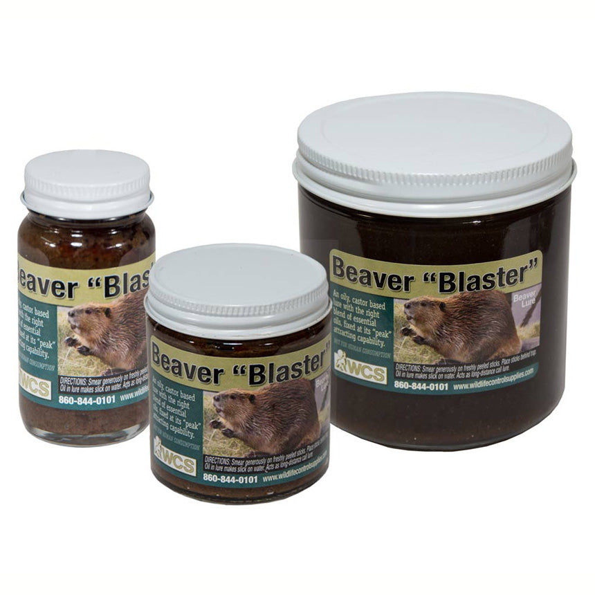 Castor Blaster Castor Señuelo