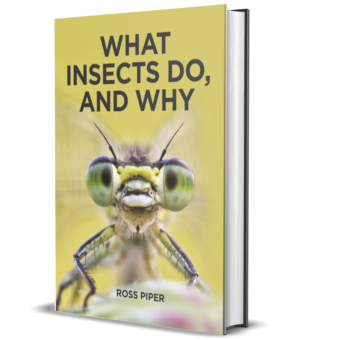 What Insects Do, and Why