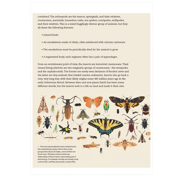 What Do Insects What Insects Do, and Why ²⁶ - BIOWEB USA