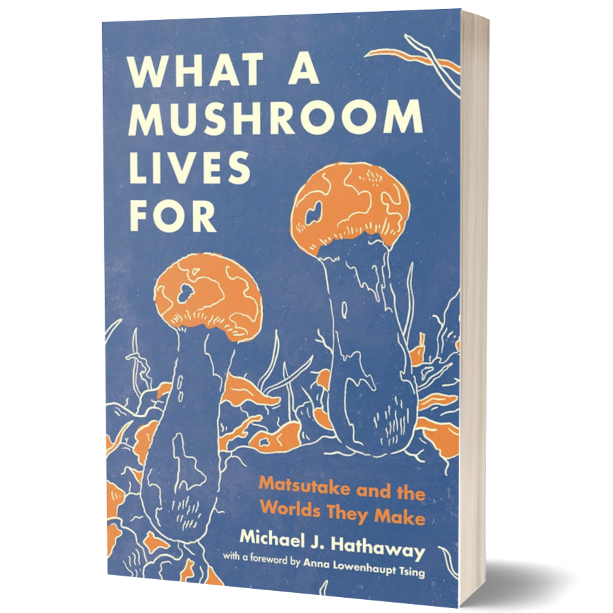 What a Mushroom Lives For: Matsutake and the Worlds They Make