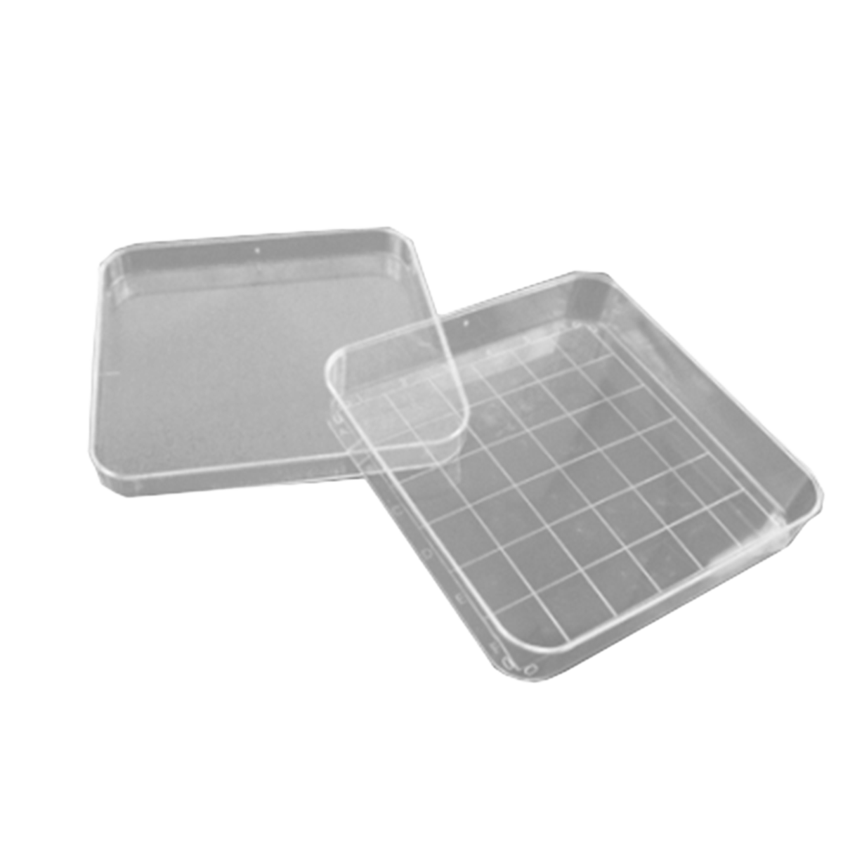 Wildco Gridded Petri Dish 7 x 3.5 x 3.5 in x10 Units