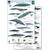 The North Pacific Marine Mammals field