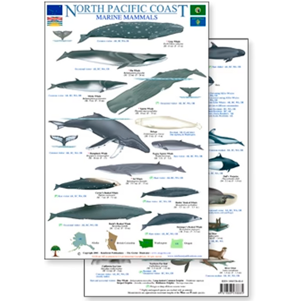 The North Pacific Marine Mammals field - BIOWEB USA