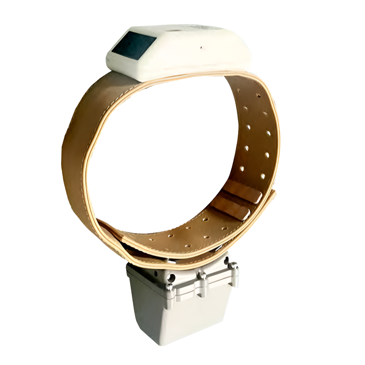 BADGECII Iridium GPS Wildlife Collar with Behavior Sensors