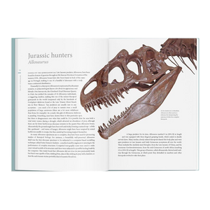 A History of Dinosaurs in 50 Fossils