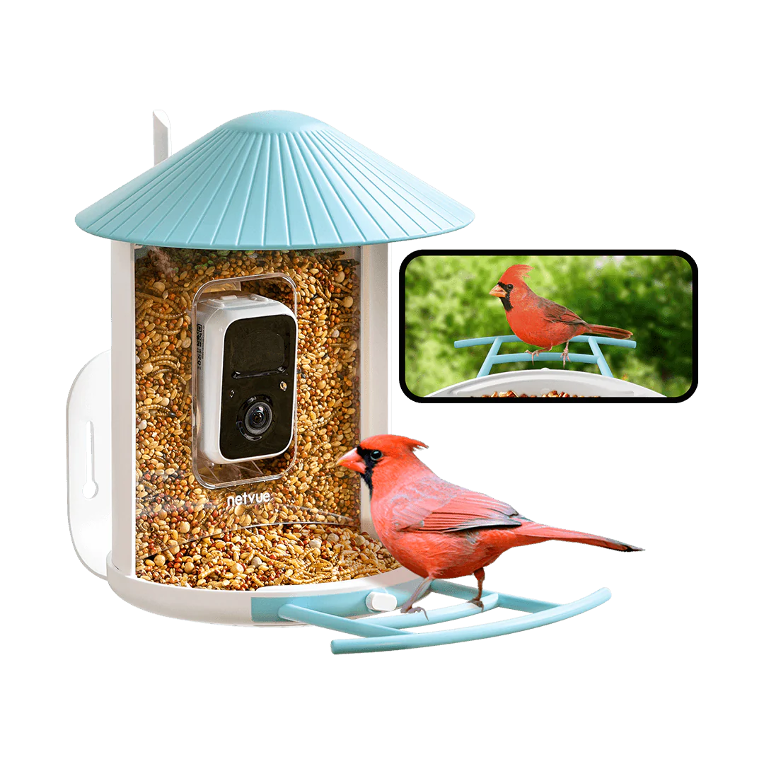 Birdfy Bird Feeder Camera 1080P Color Night Vision with 1.5 L Feeder IP65