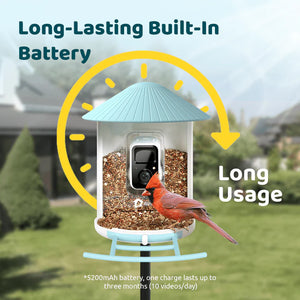 Birdfy Bird Feeder Camera 1080P Color Night Vision with 1.5 L Feeder IP65