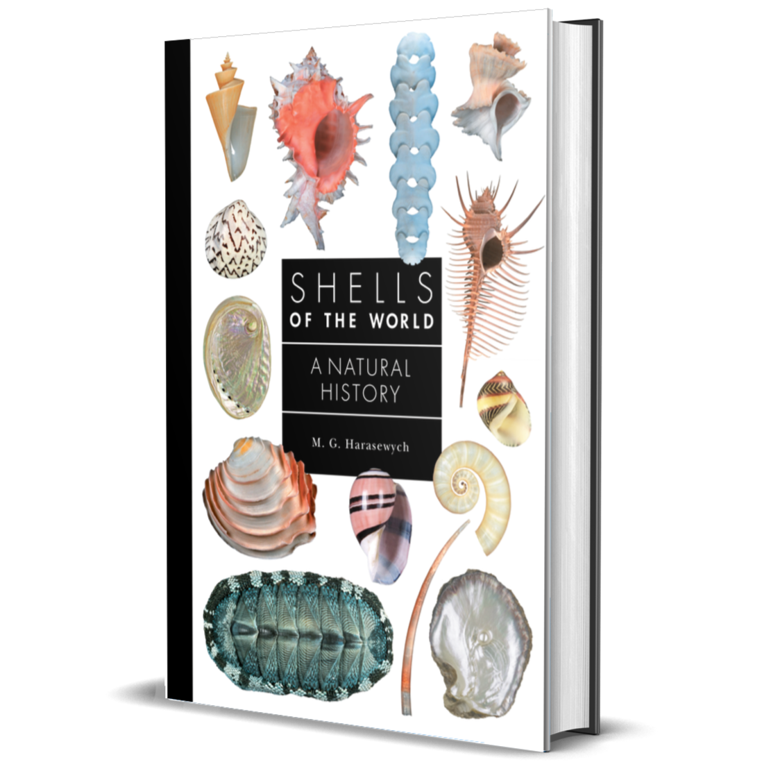 Shells of the World A Natural History