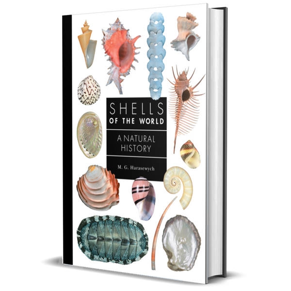 Historical Shells Shells of the World A Natural History - BIOWEB USA