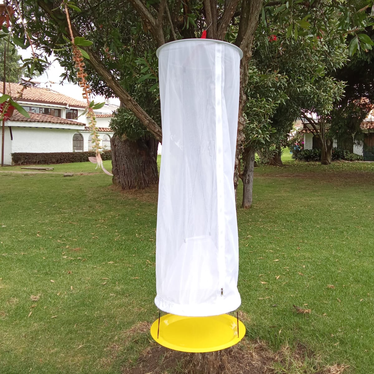 Enthos Butterfly Bait Trap