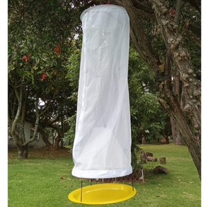 Enthos Butterfly Bait Trap