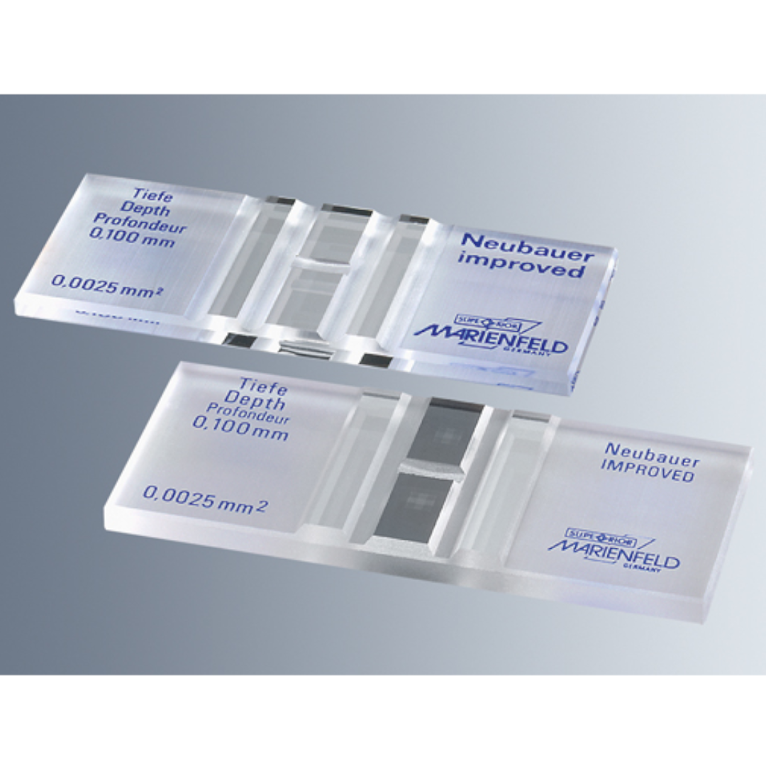 Neubauer Hemocytometer