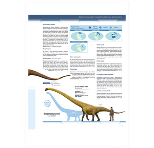 Récords y Curiosidades de los Dinosaurios: Saurópodos y Otros Sauropodomorfos