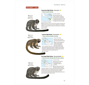 Neotropical Primates