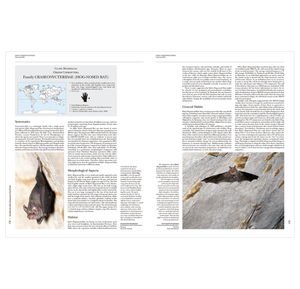 Handbook of the Mammals of the World. Vol.9: Bats