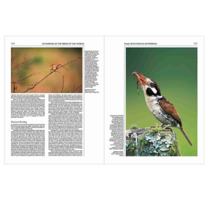 Handbook of the Birds of the World Vol.7: Jacamars to Woodpeckers