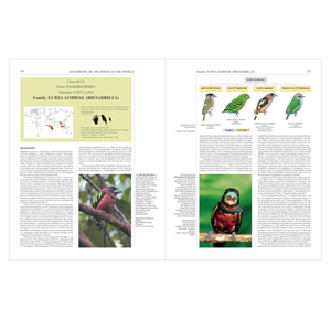 Handbook of the Birds of the World Vol. 8: Broadbills to Tapaculos