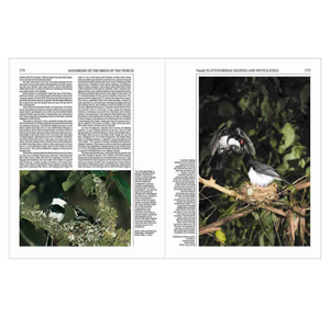 Handbook of the Birds of the World Vol.11: Old World Flycatchers to Old World Warblers