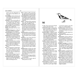The Ornithologist's Dictionary