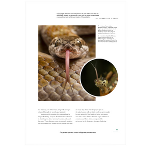 The Lives of Snakes: A Natural History of the World's Snake