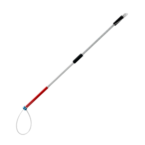 TeleDart Telescopic LD-S-Type Snake Hook
