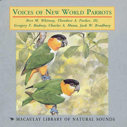 Voices of New World Parrots