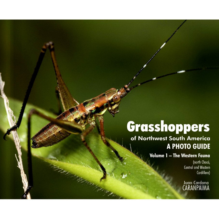 Grasshoppers of Northwest South America - A Photo Guide, Volume 1: Ther Western Fauna