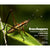 Grasshoppers of Northwest South America - A Photo Guide, Volume 1: Ther Western Fauna