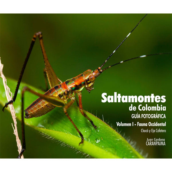 Saltamontes de Colombia - Guía Fotográfica, Volumen 1: Fauna Occidental