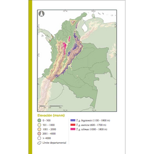Tangara de Colombia