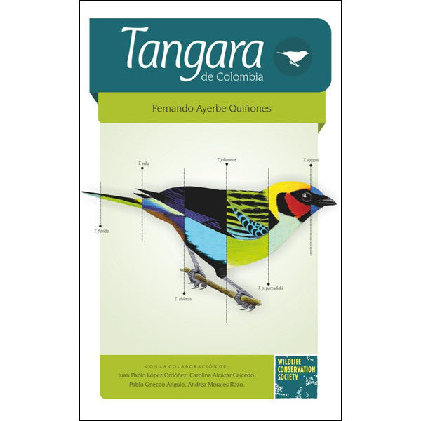 Tangara de Colombia