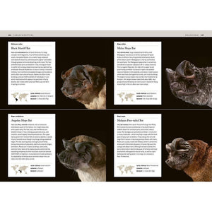 Bats: An Illustrated Guide to All Species