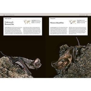 Bats: An Illustrated Guide to All Species