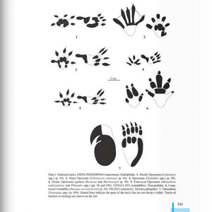 Field Guide to the Mammals of Ecuador