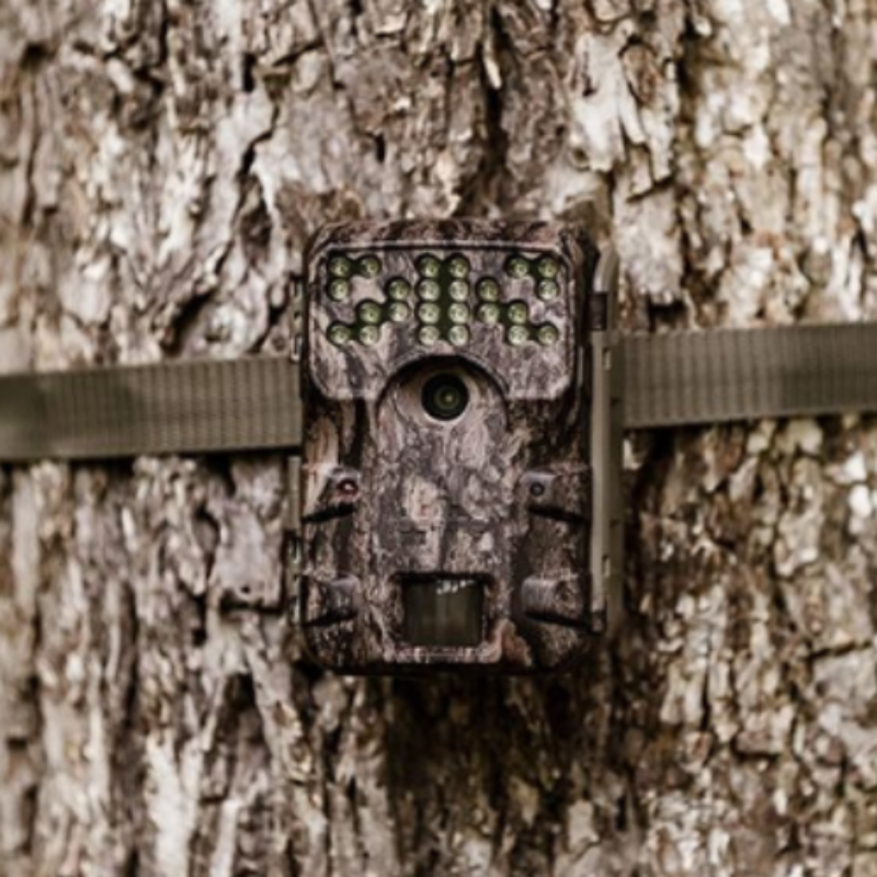 Moultrie 30MP good Trail Camera